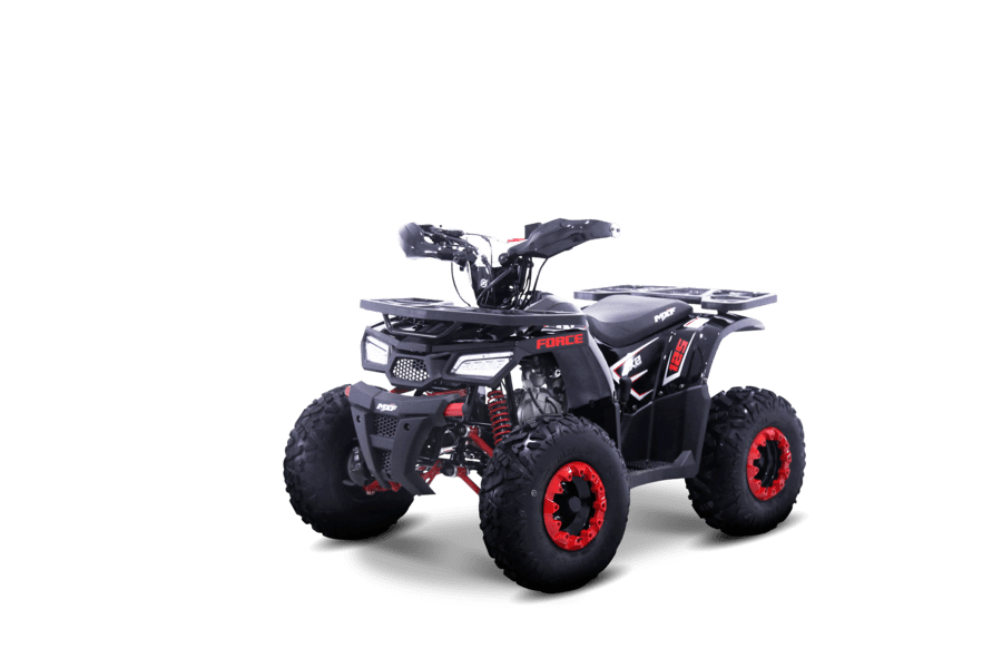 Force 125 KT Minimotos