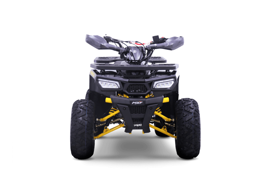 Force 125 KT Minimotos